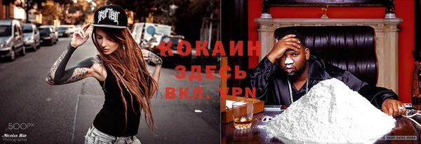 винт Алзамай