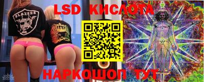 a pvp Гусев
