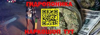 a pvp Гусев
