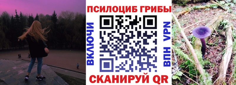 Галлюциногенные грибы Psilocybine cubensis  как найти наркотики  Минусинск 