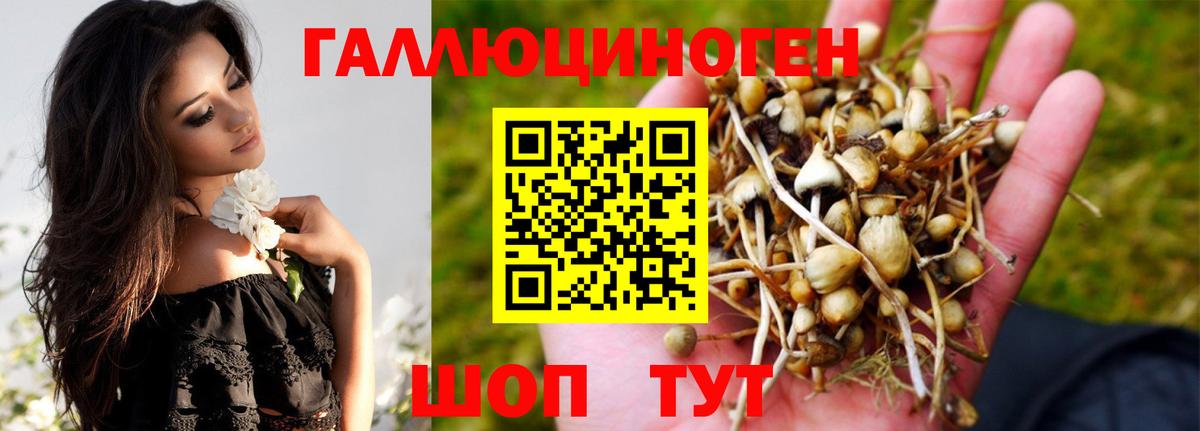 Галлюциногенные грибы MAGIC MUSHROOMS  Вход с VPN  Минусинск 